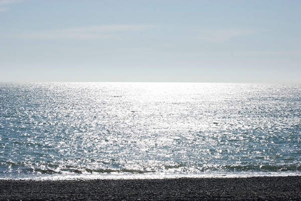 _DSC7008.jpg