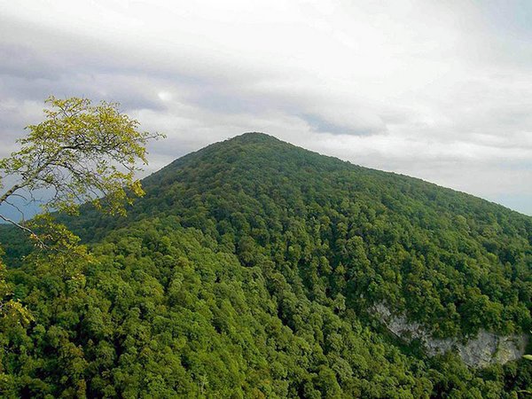 фото.jpg